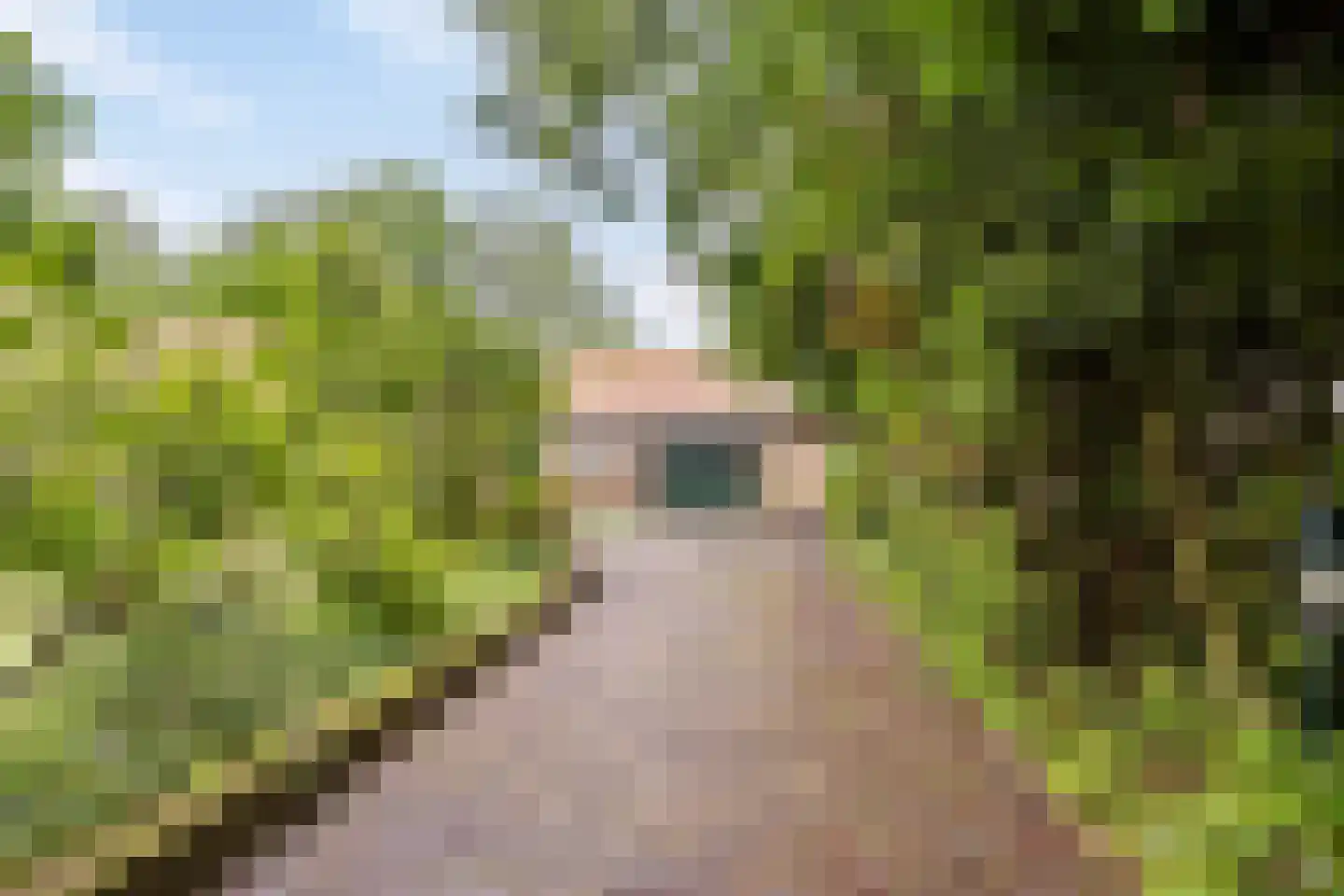 Nieuwe Vaart 20 Appelscha thumbnail 4