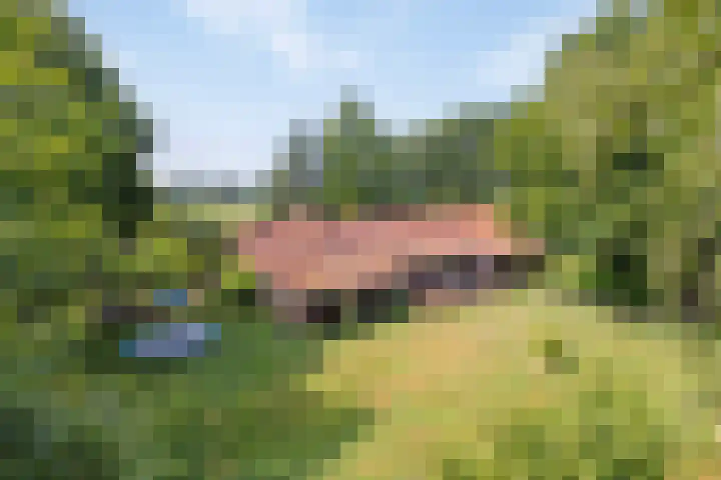 Nieuwe Vaart 20 Appelscha thumbnail 43