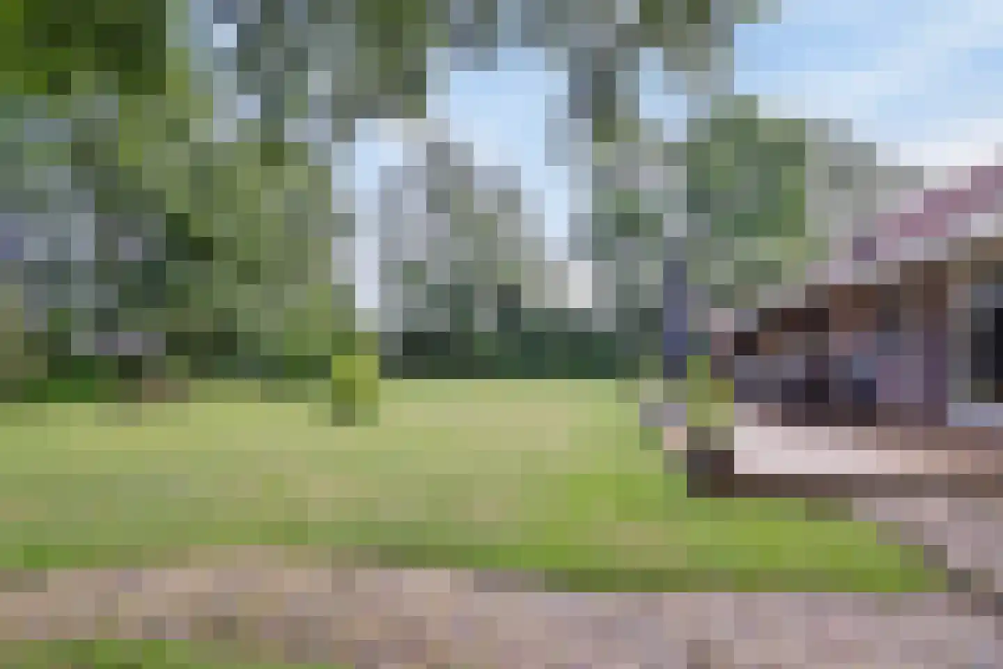 Nieuwe Vaart 20 Appelscha thumbnail 44