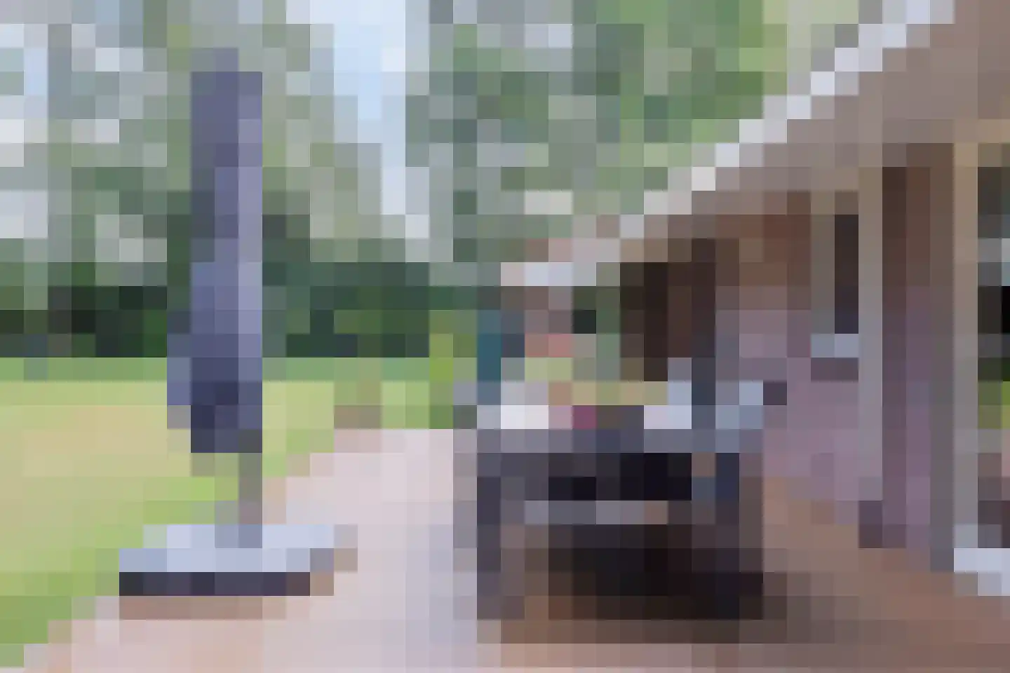 Nieuwe Vaart 20 Appelscha thumbnail 45