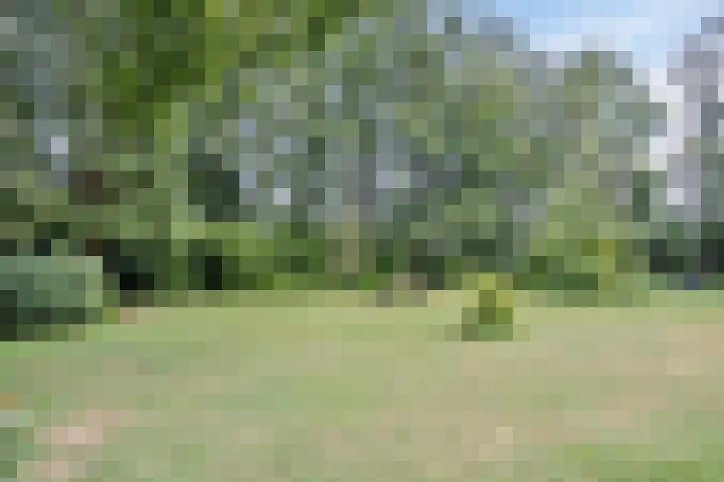 Nieuwe Vaart 20 Appelscha thumbnail 46