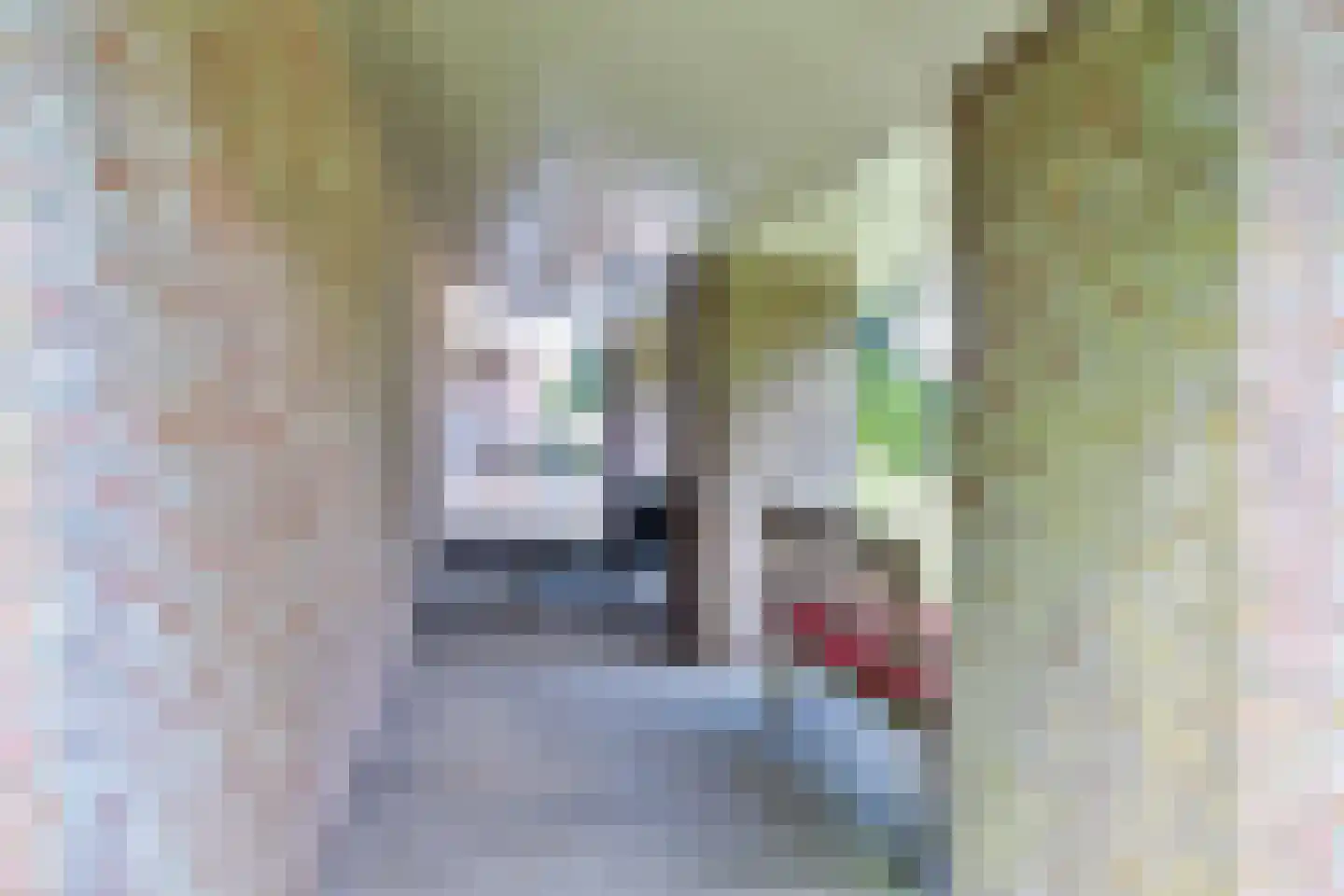 Nieuwe Vaart 20 Appelscha thumbnail 49