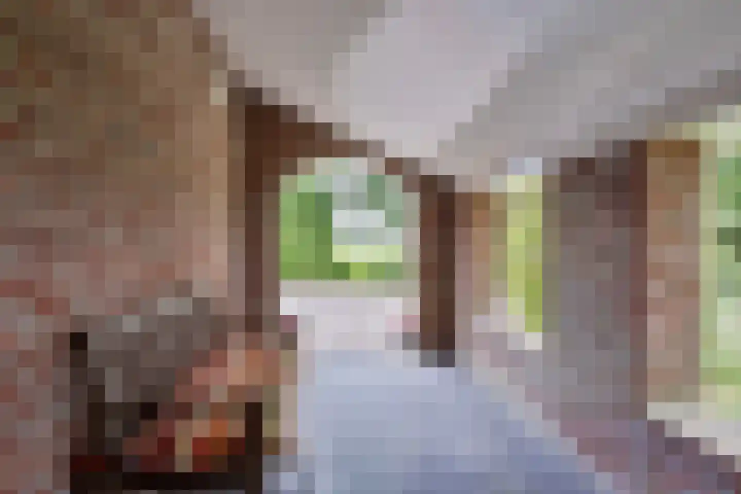 Nieuwe Vaart 20 Appelscha thumbnail 5