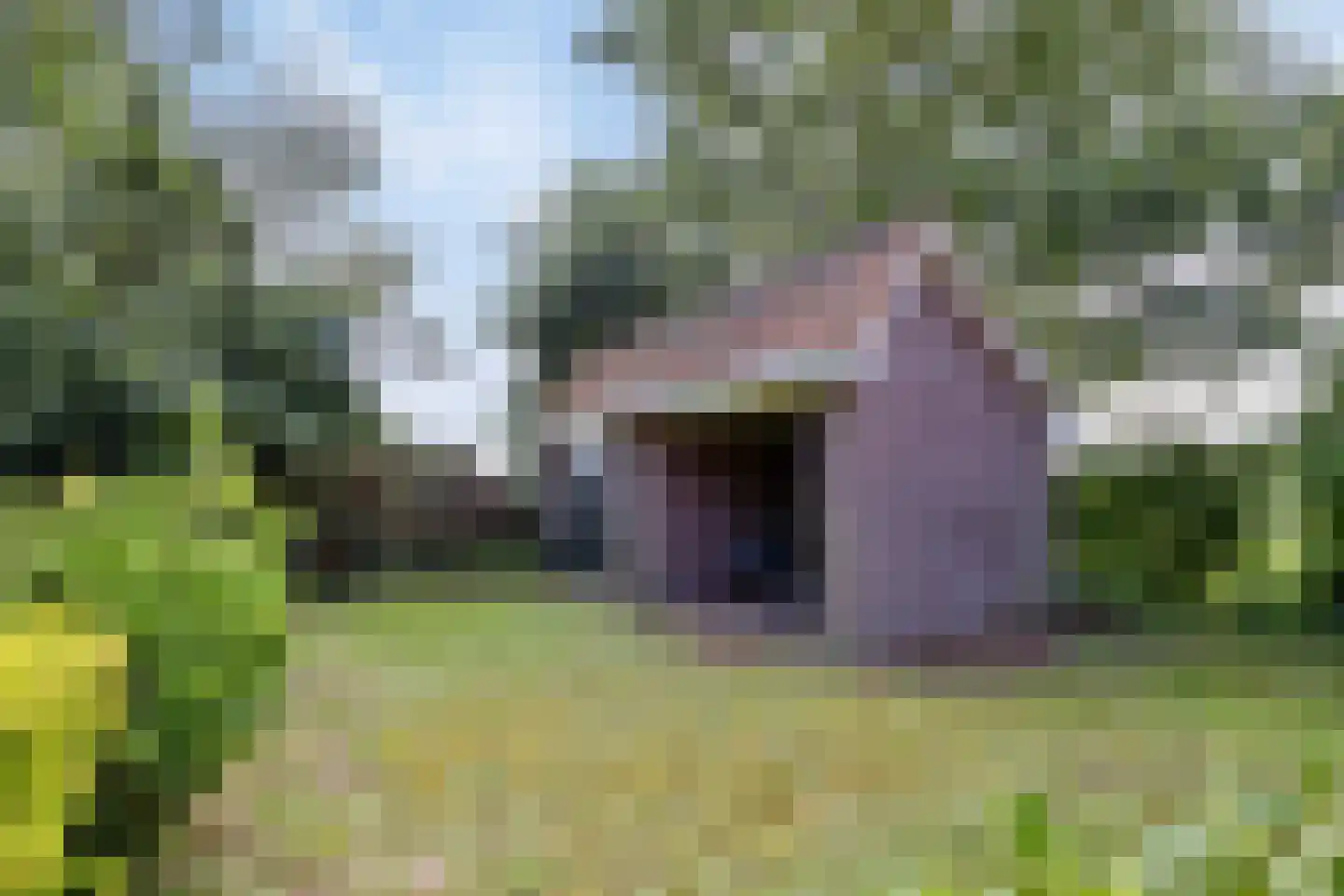 Nieuwe Vaart 20 Appelscha thumbnail 54