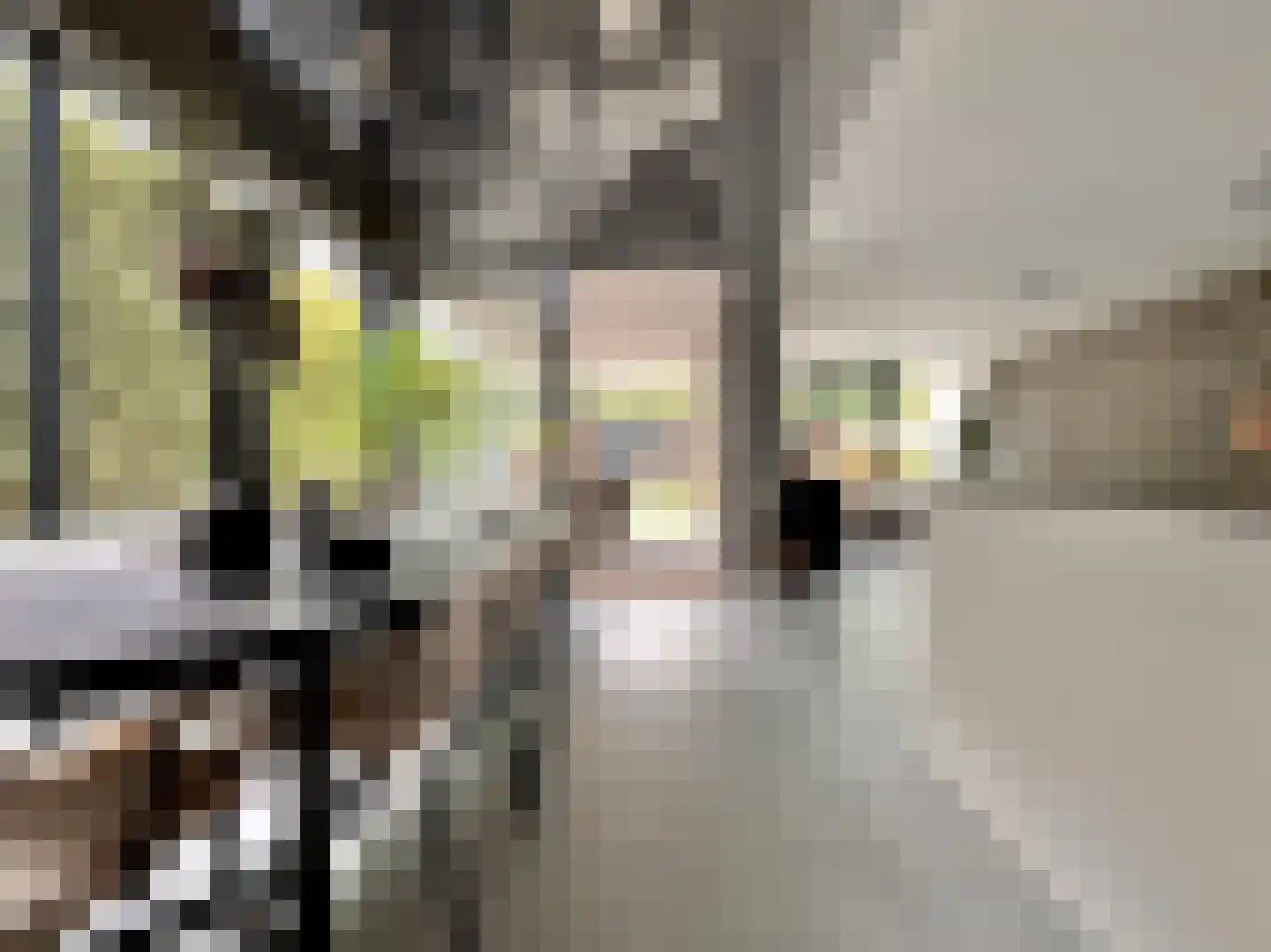 Nieuwe Vaart 31 Alkmaar thumbnail 12