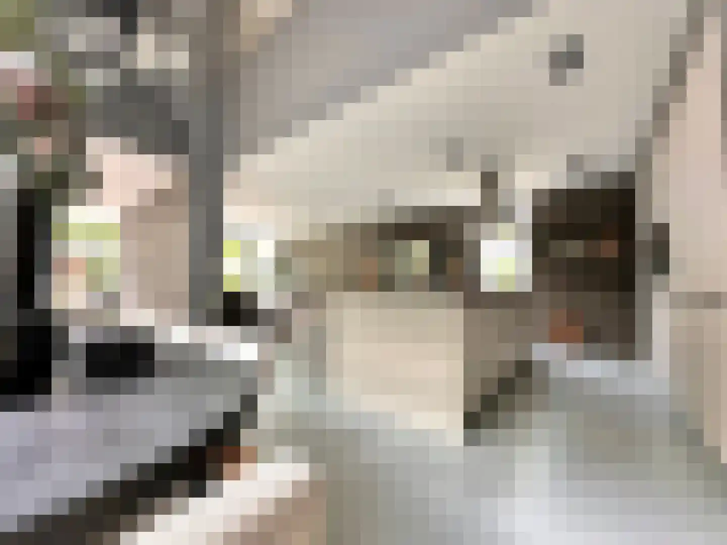Nieuwe Vaart 31 Alkmaar thumbnail 13