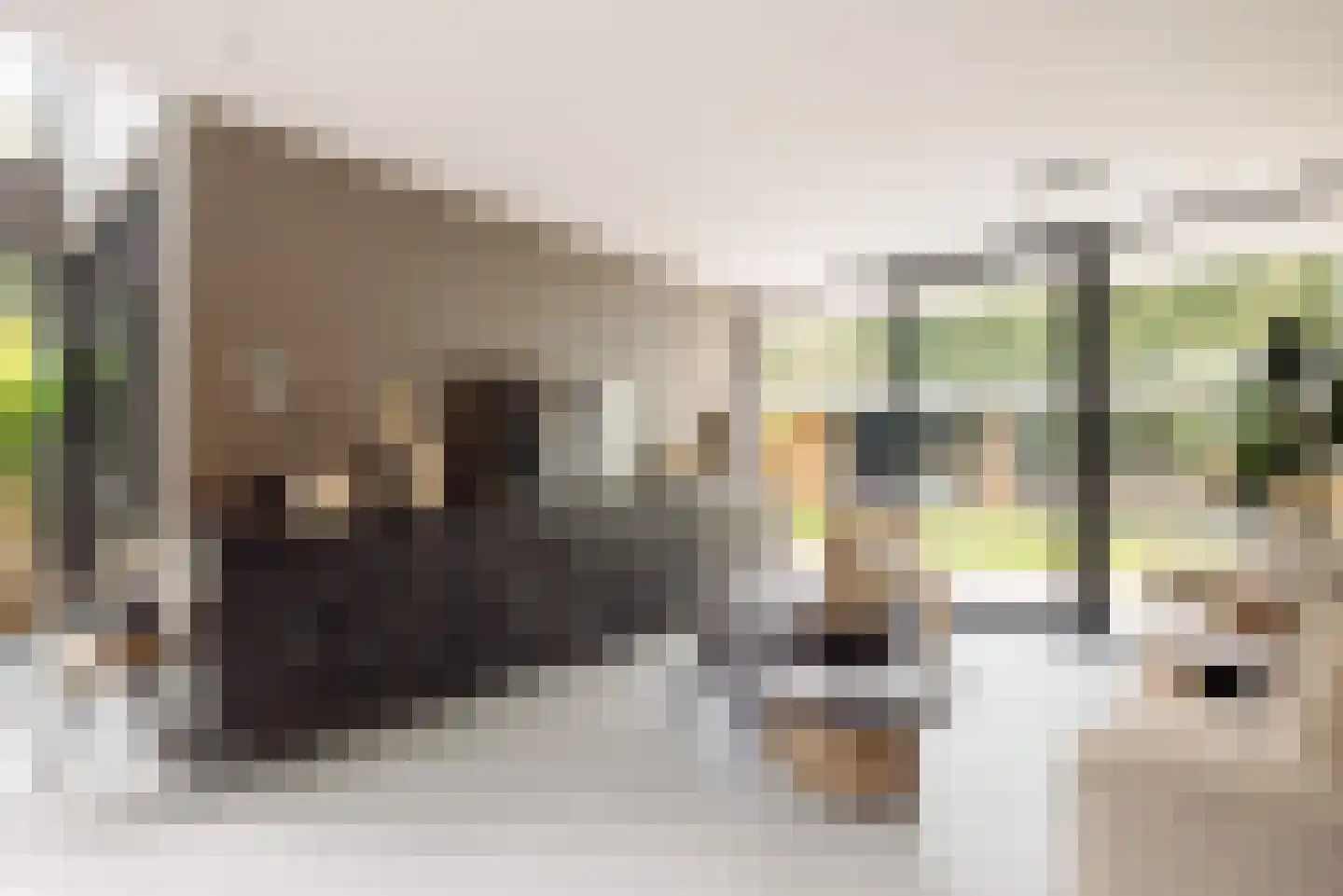 Nieuwe Vaart 31 Alkmaar thumbnail 15