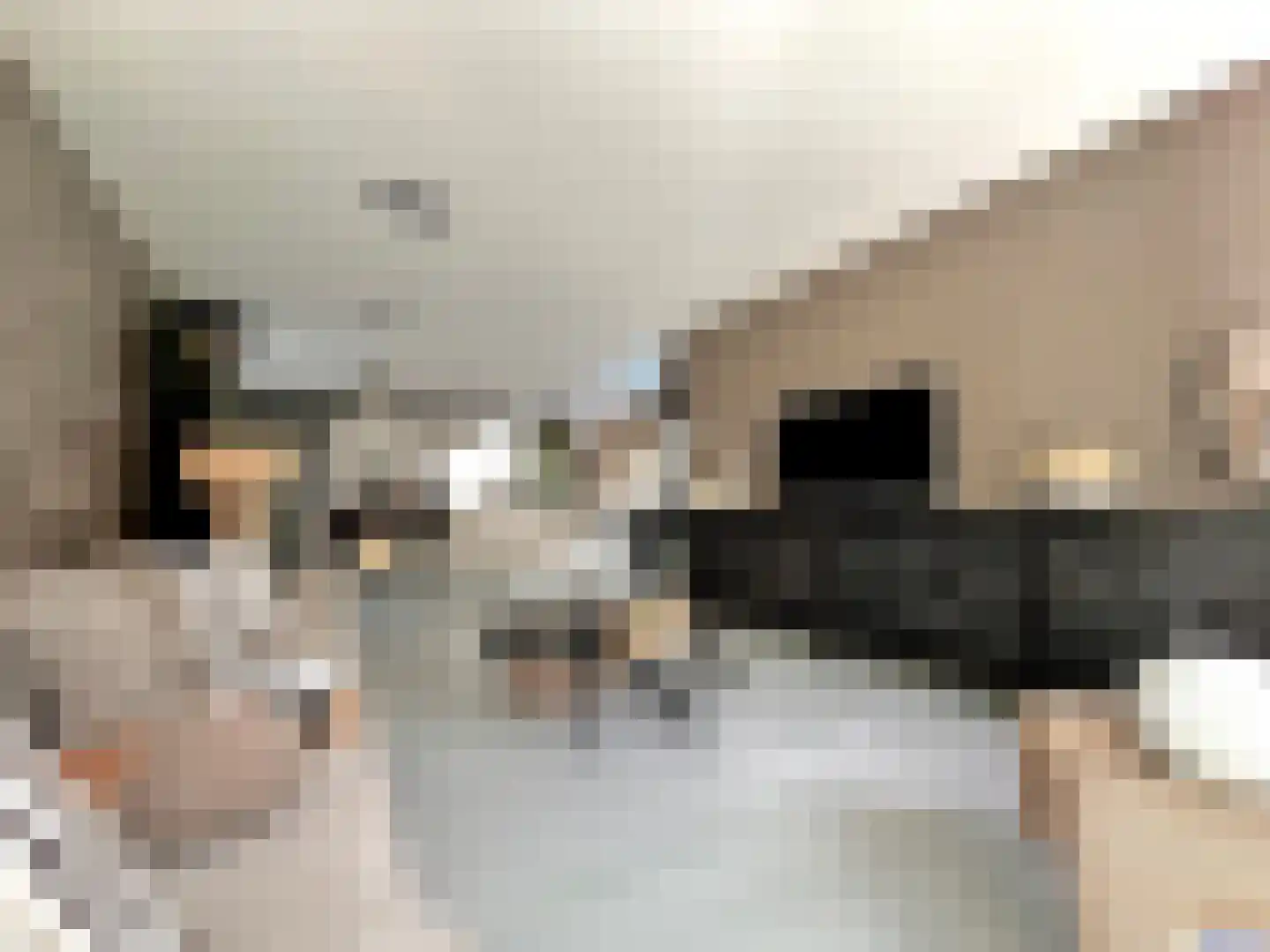 Nieuwe Vaart 31 Alkmaar thumbnail 16