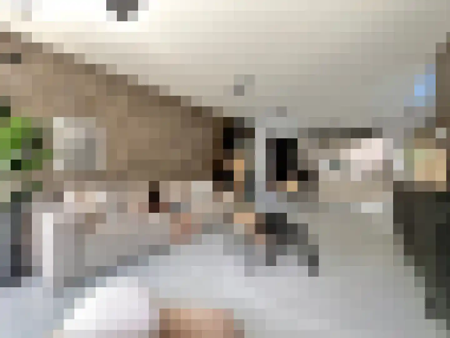 Nieuwe Vaart 31 Alkmaar thumbnail 17
