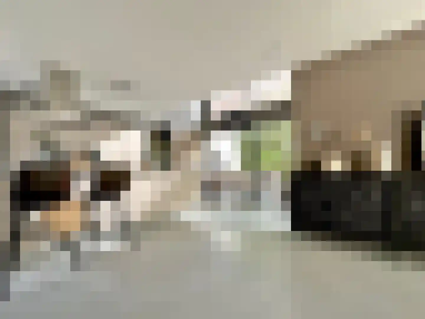 Nieuwe Vaart 31 Alkmaar thumbnail 18