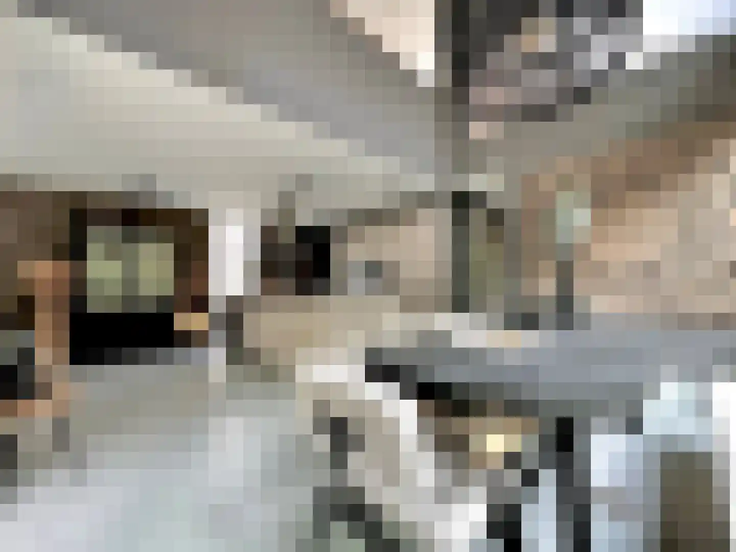 Nieuwe Vaart 31 Alkmaar thumbnail 20
