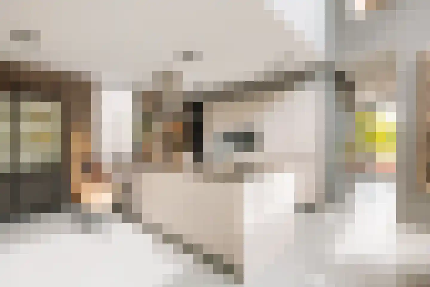 Nieuwe Vaart 31 Alkmaar thumbnail 21