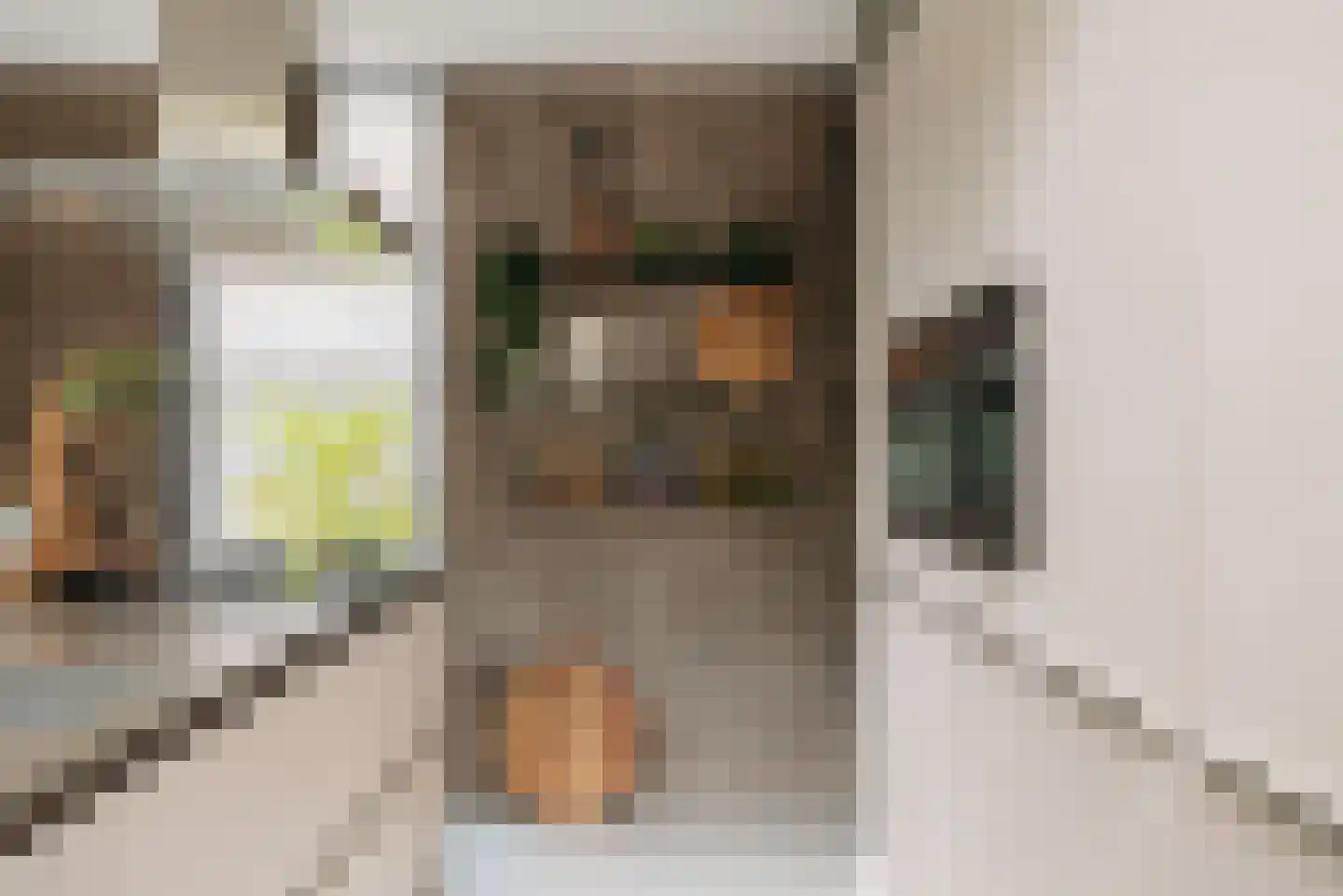 Nieuwe Vaart 31 Alkmaar thumbnail 24