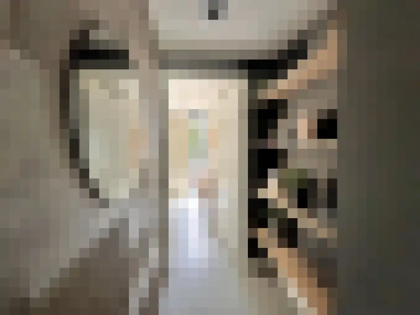 Nieuwe Vaart 31 Alkmaar thumbnail 26
