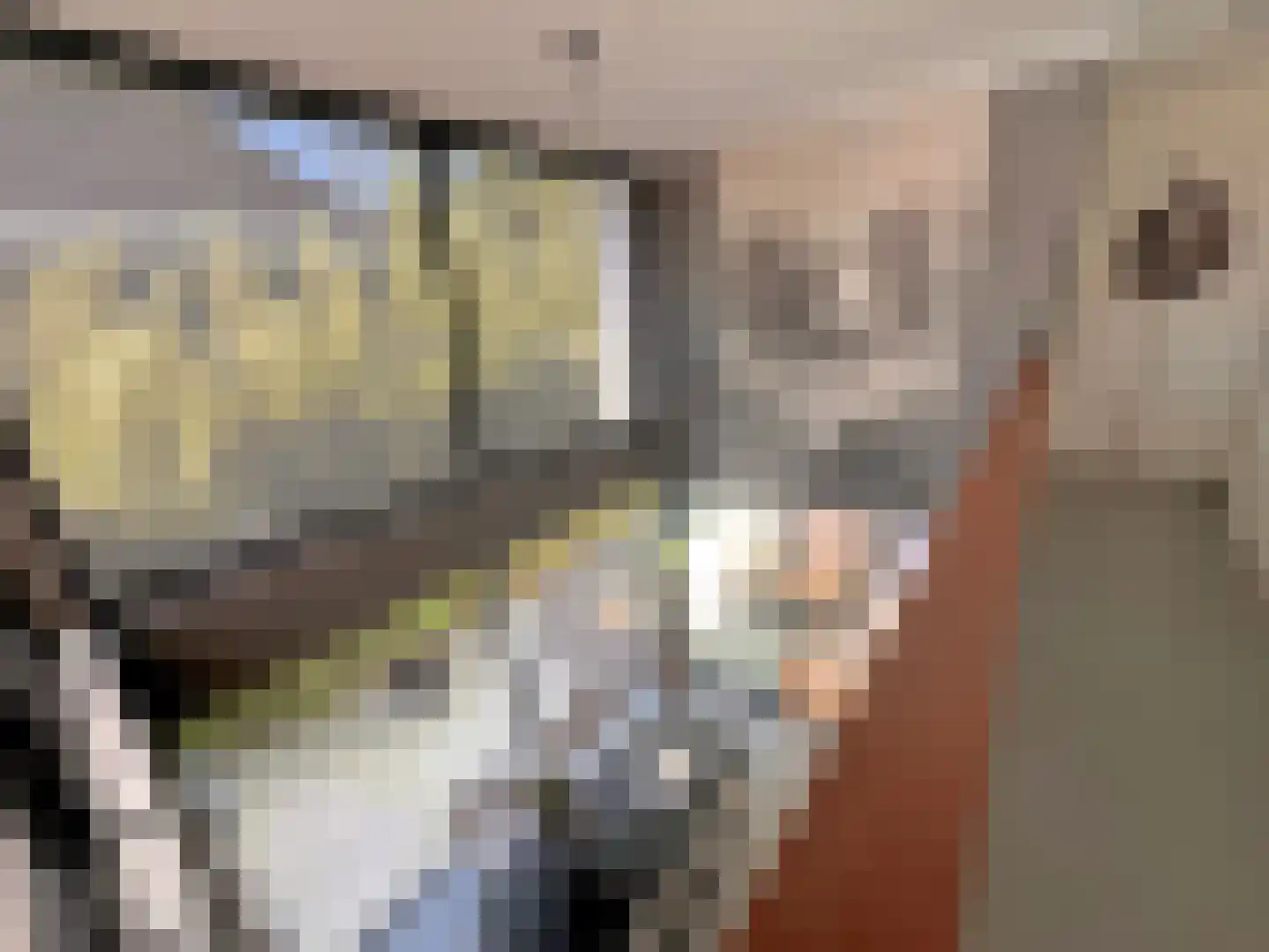 Nieuwe Vaart 31 Alkmaar thumbnail 40