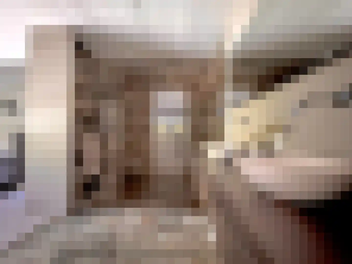 Nieuwe Vaart 31 Alkmaar thumbnail 46
