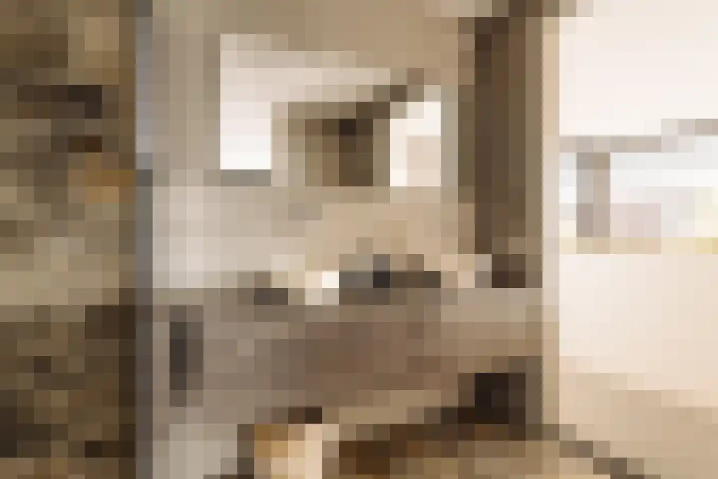 Nieuwe Vaart 31 Alkmaar thumbnail 49