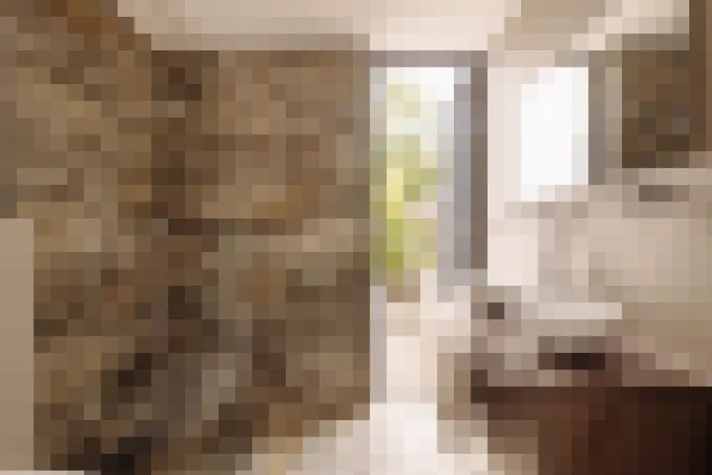 Nieuwe Vaart 31 Alkmaar thumbnail 5