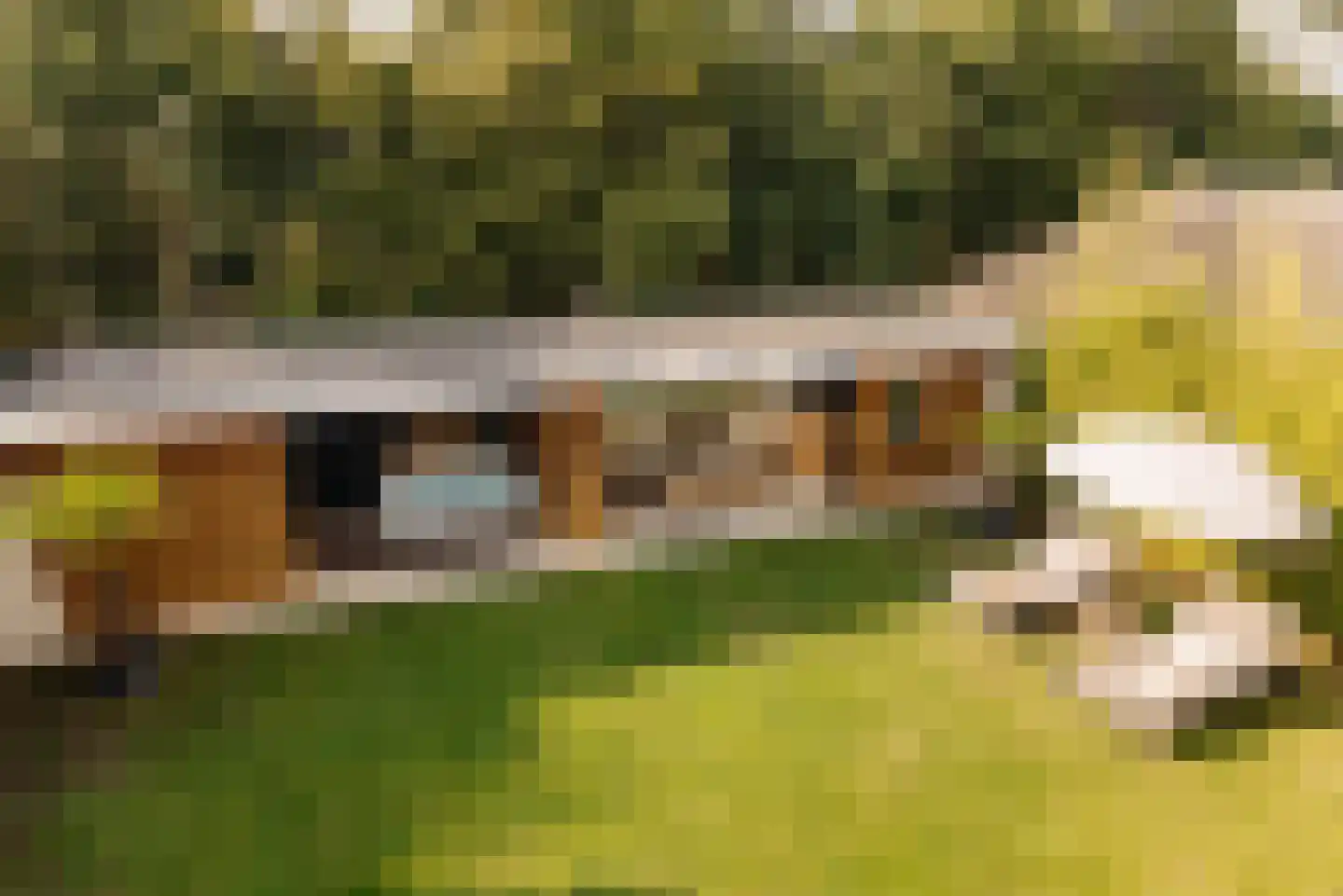 Nieuwe Vaart 31 Alkmaar thumbnail 56