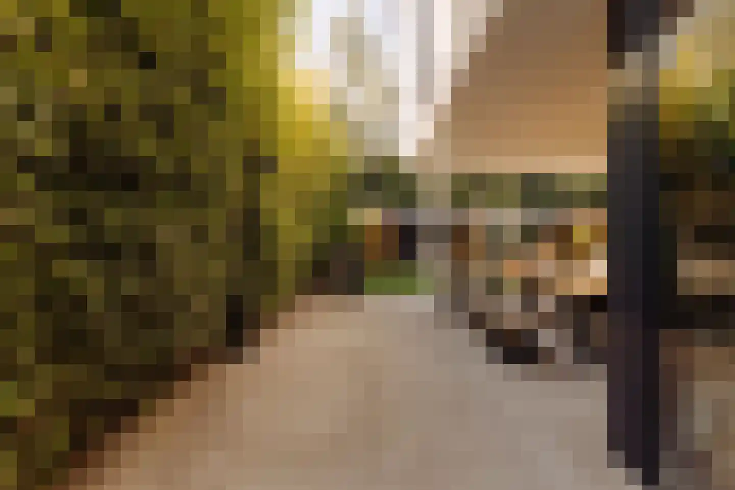 Nieuwe Vaart 31 Alkmaar thumbnail 57