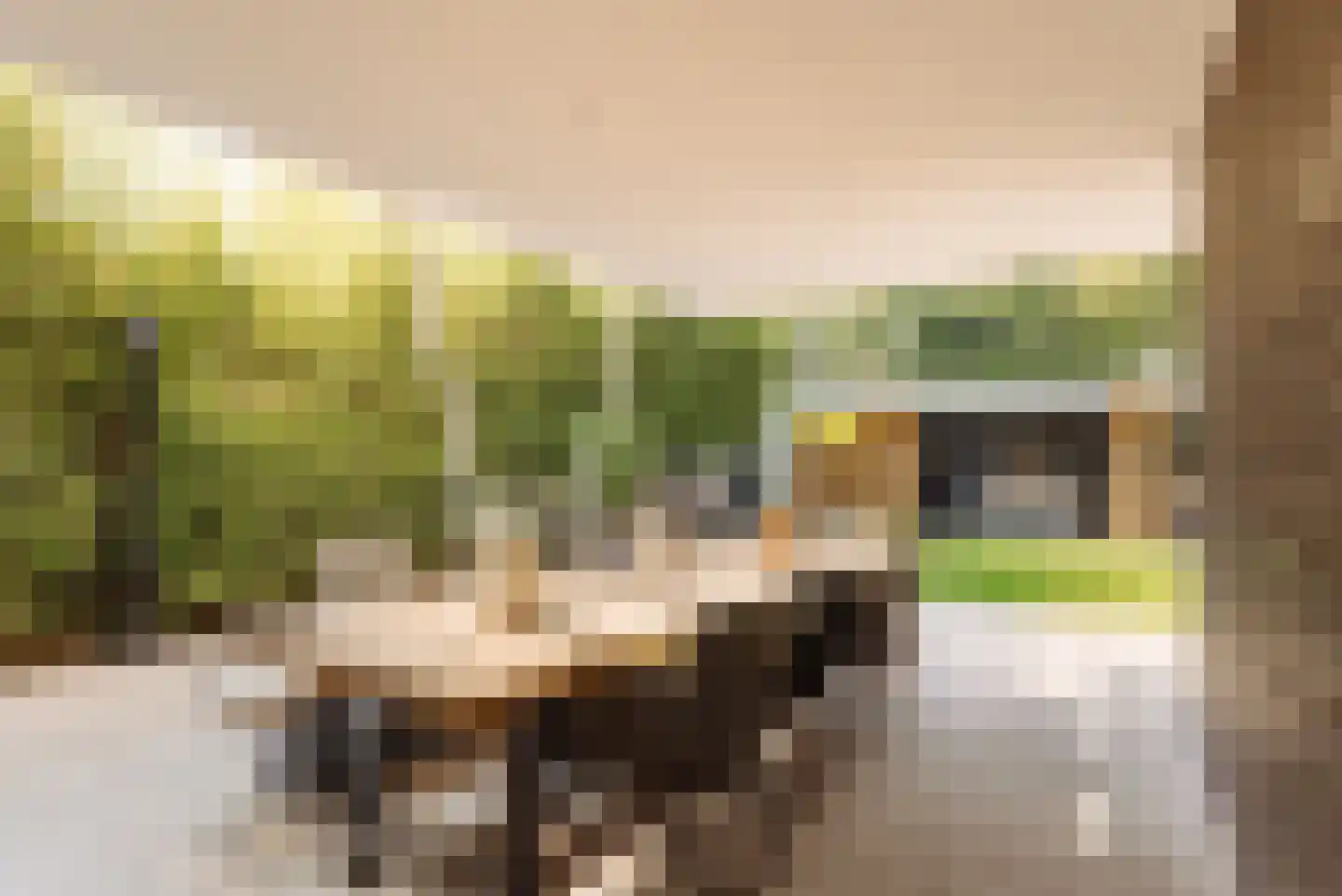 Nieuwe Vaart 31 Alkmaar thumbnail 58