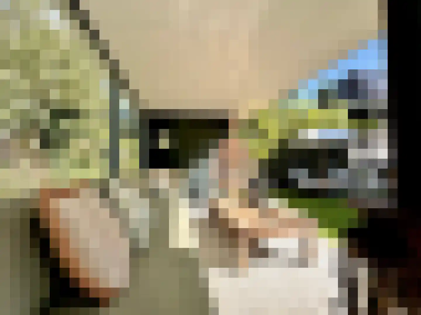 Nieuwe Vaart 31 Alkmaar thumbnail 61