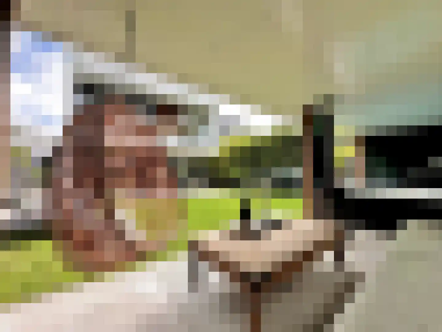 Nieuwe Vaart 31 Alkmaar thumbnail 62