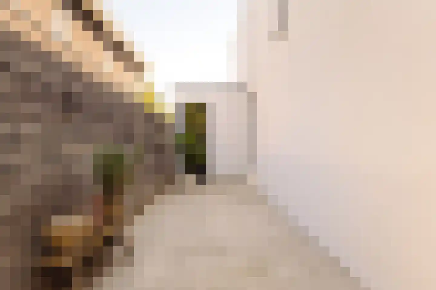 Nieuwe Vaart 31 Alkmaar thumbnail 63