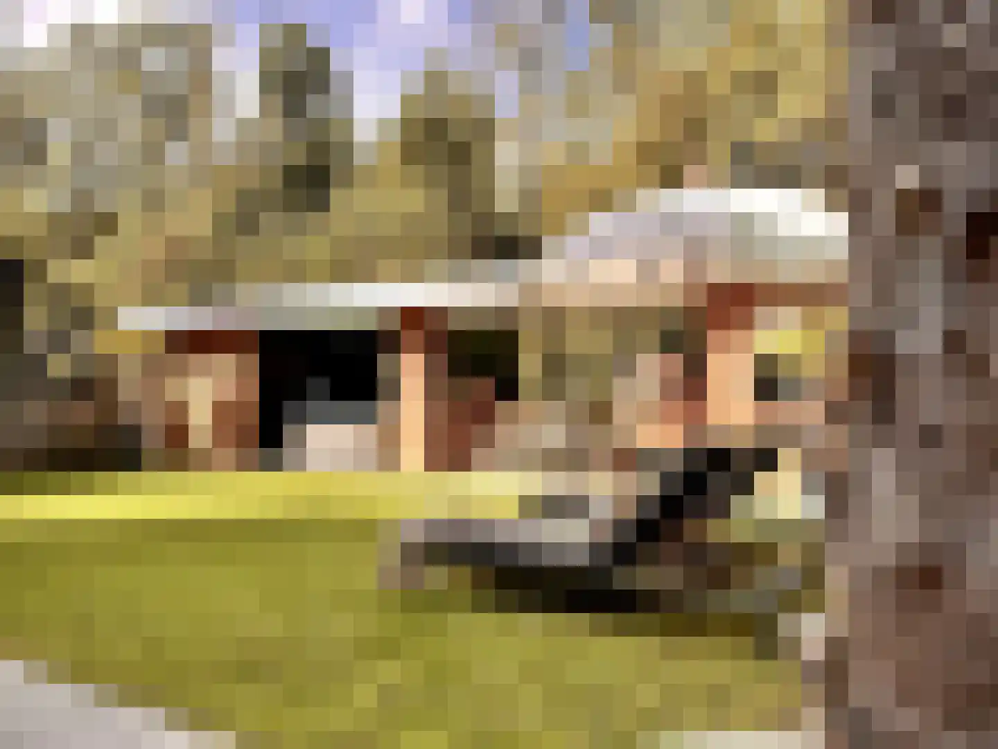 Nieuwe Vaart 31 Alkmaar thumbnail 64