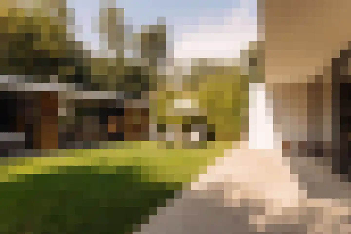 Nieuwe Vaart 31 Alkmaar thumbnail 66