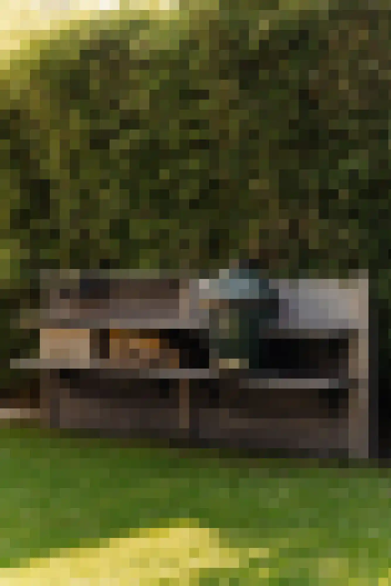 Nieuwe Vaart 31 Alkmaar thumbnail 71