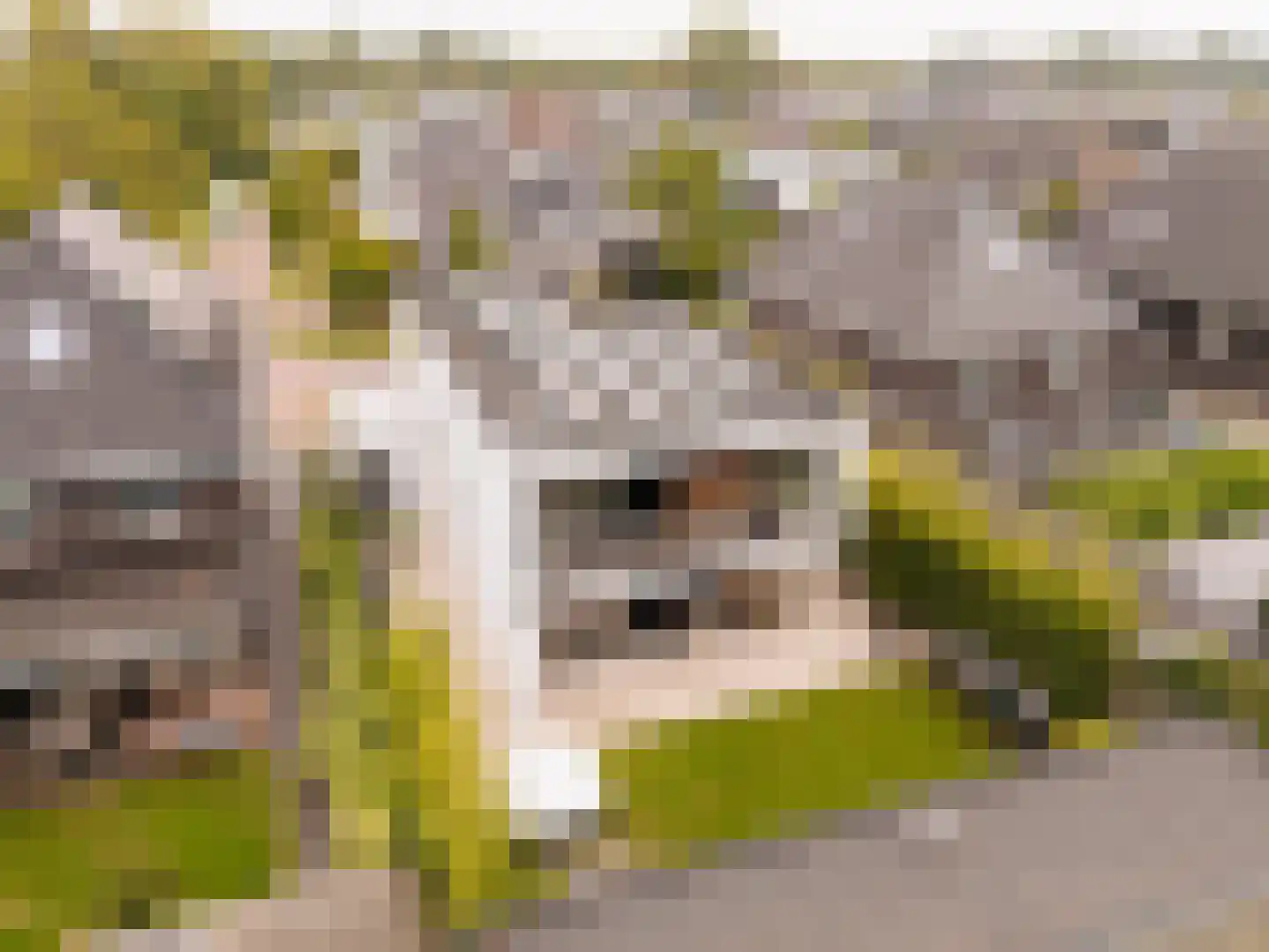 Nieuwe Vaart 31 Alkmaar thumbnail 76