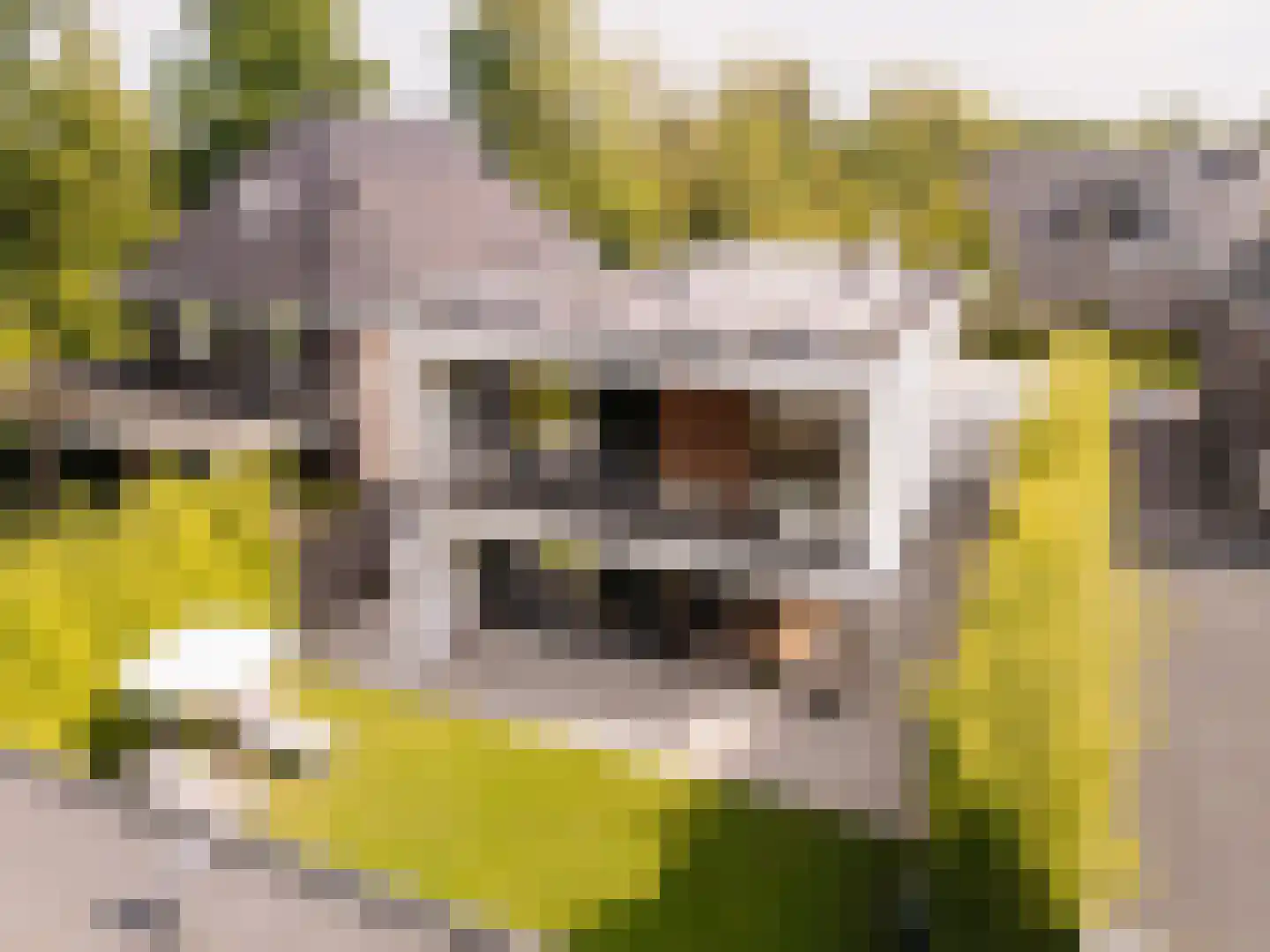 Nieuwe Vaart 31 Alkmaar thumbnail 77