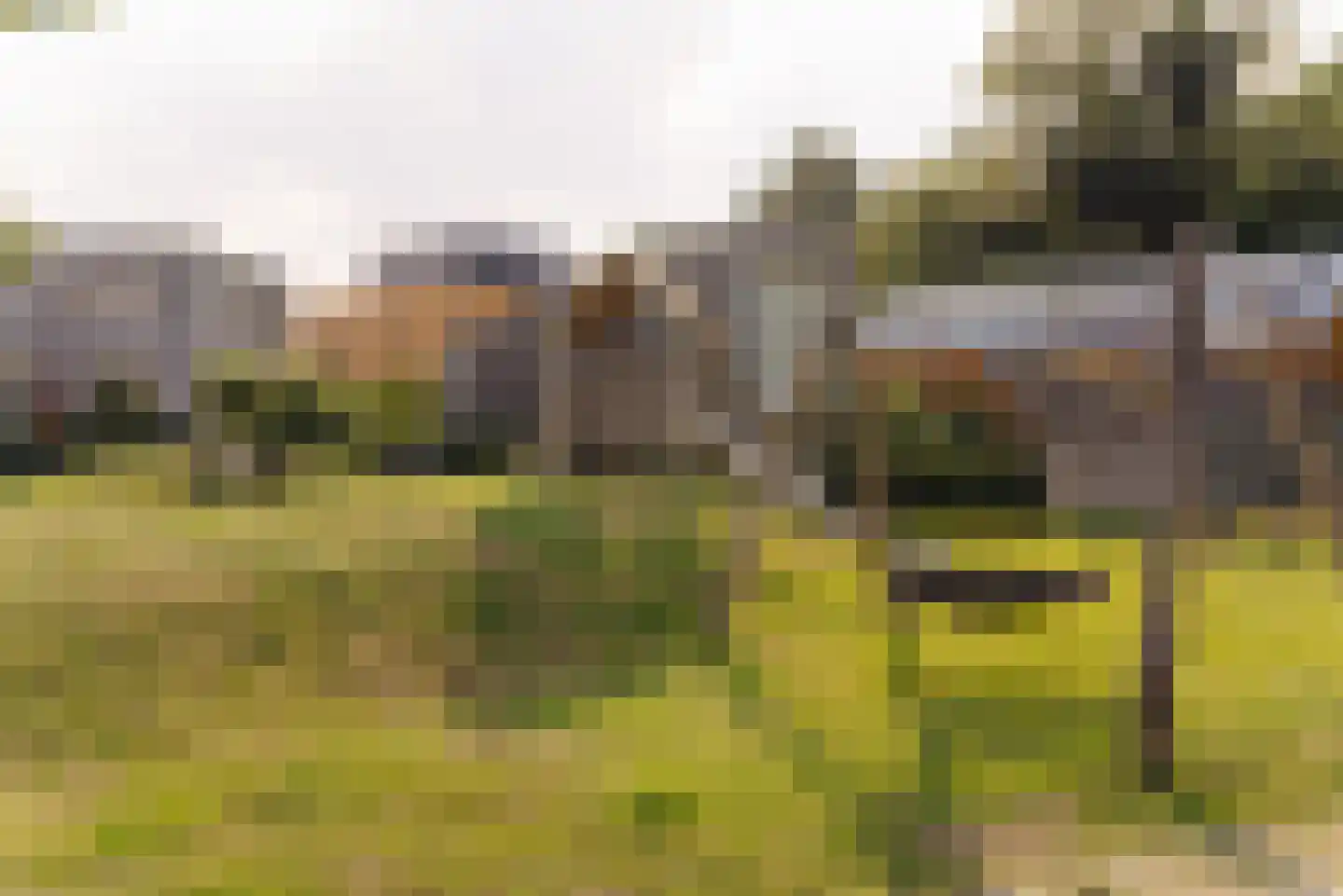 Nieuwe Vaart 31 Alkmaar thumbnail 80