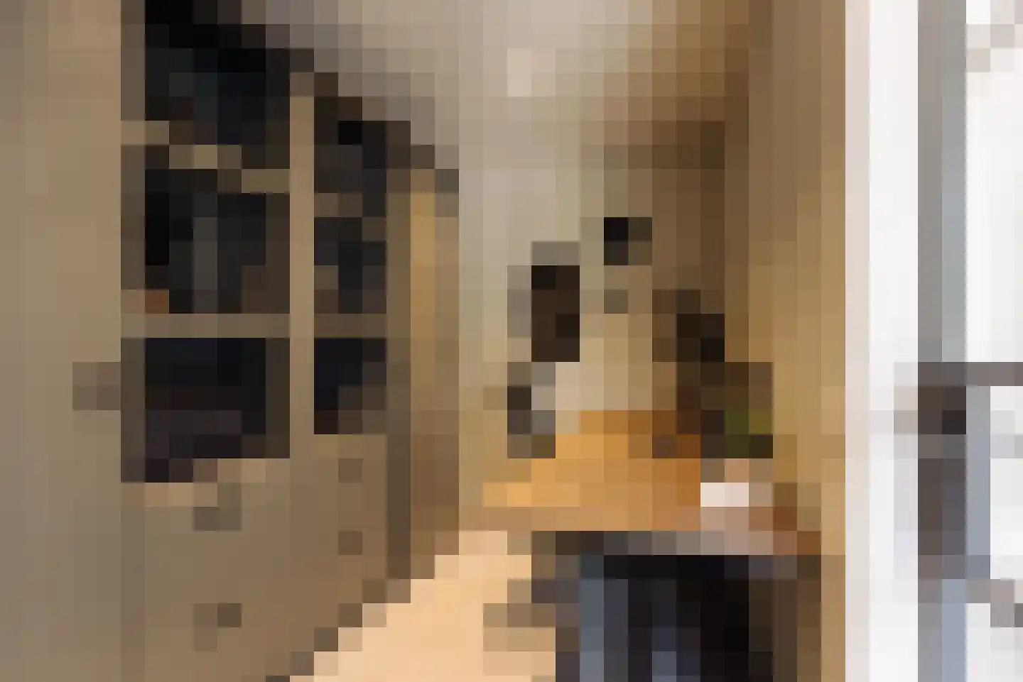 Nieuwe Vaart 31 Alkmaar thumbnail 9
