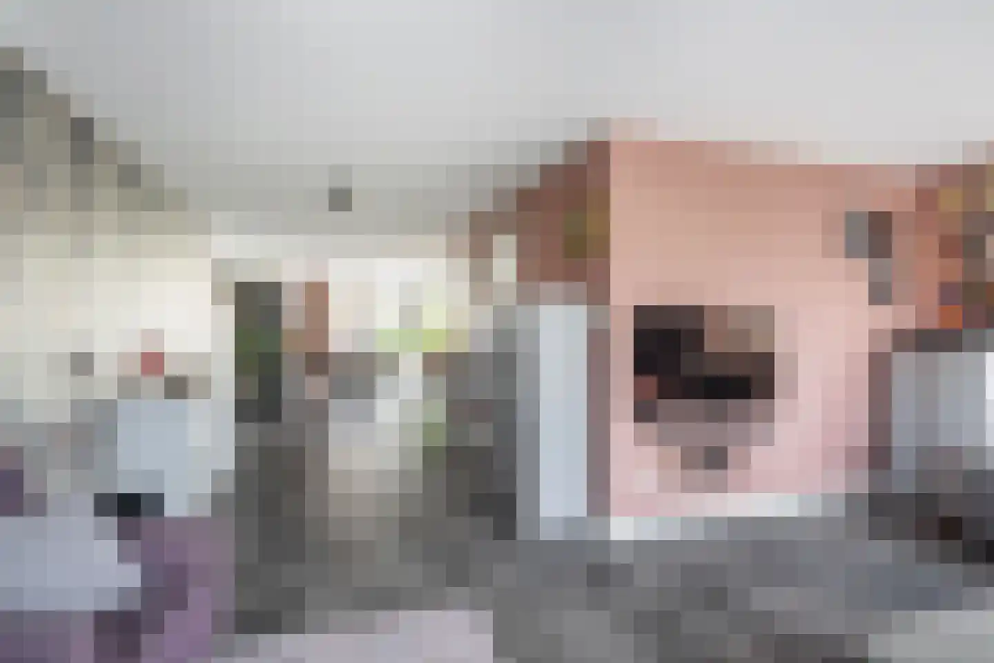 Nieuwe Vaart 7 B 's-Gravenzande thumbnail 10