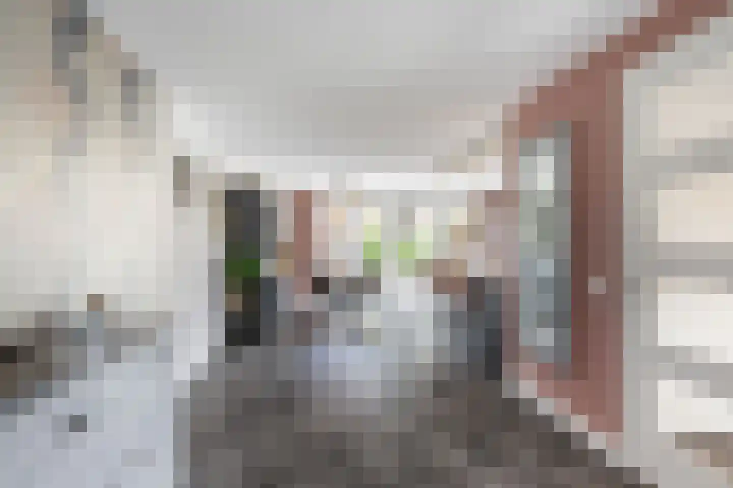 Nieuwe Vaart 7 B 's-Gravenzande thumbnail 11