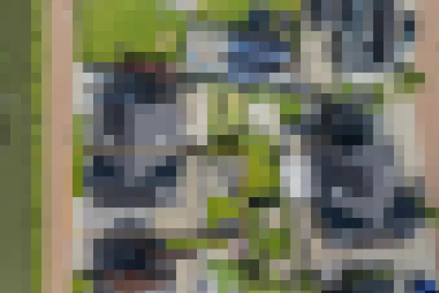 Nieuwe Vaart 7 B 's-Gravenzande thumbnail 48