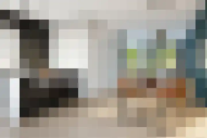 Nieuwe Vaart 9 's-Gravenzande thumbnail 4