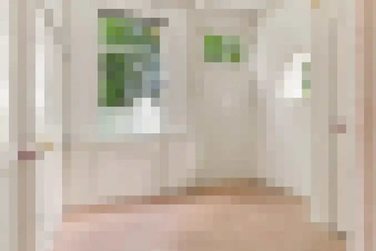 Nieuwe Vaartkade 1 Zaandijk thumbnail 10