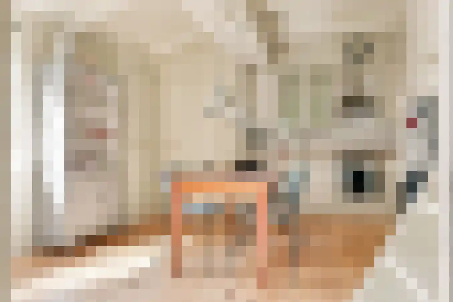 Nieuwe Vaartkade 1 Zaandijk thumbnail 12