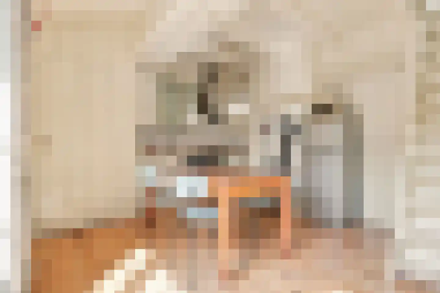 Nieuwe Vaartkade 1 Zaandijk thumbnail 13