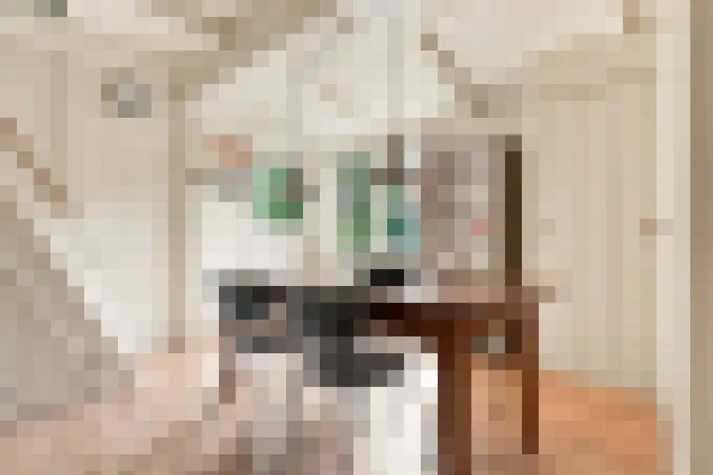 Nieuwe Vaartkade 1 Zaandijk thumbnail 14