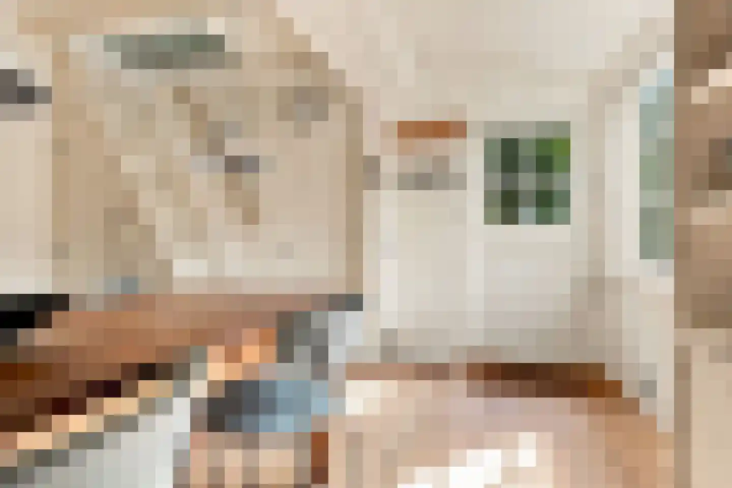 Nieuwe Vaartkade 1 Zaandijk thumbnail 17