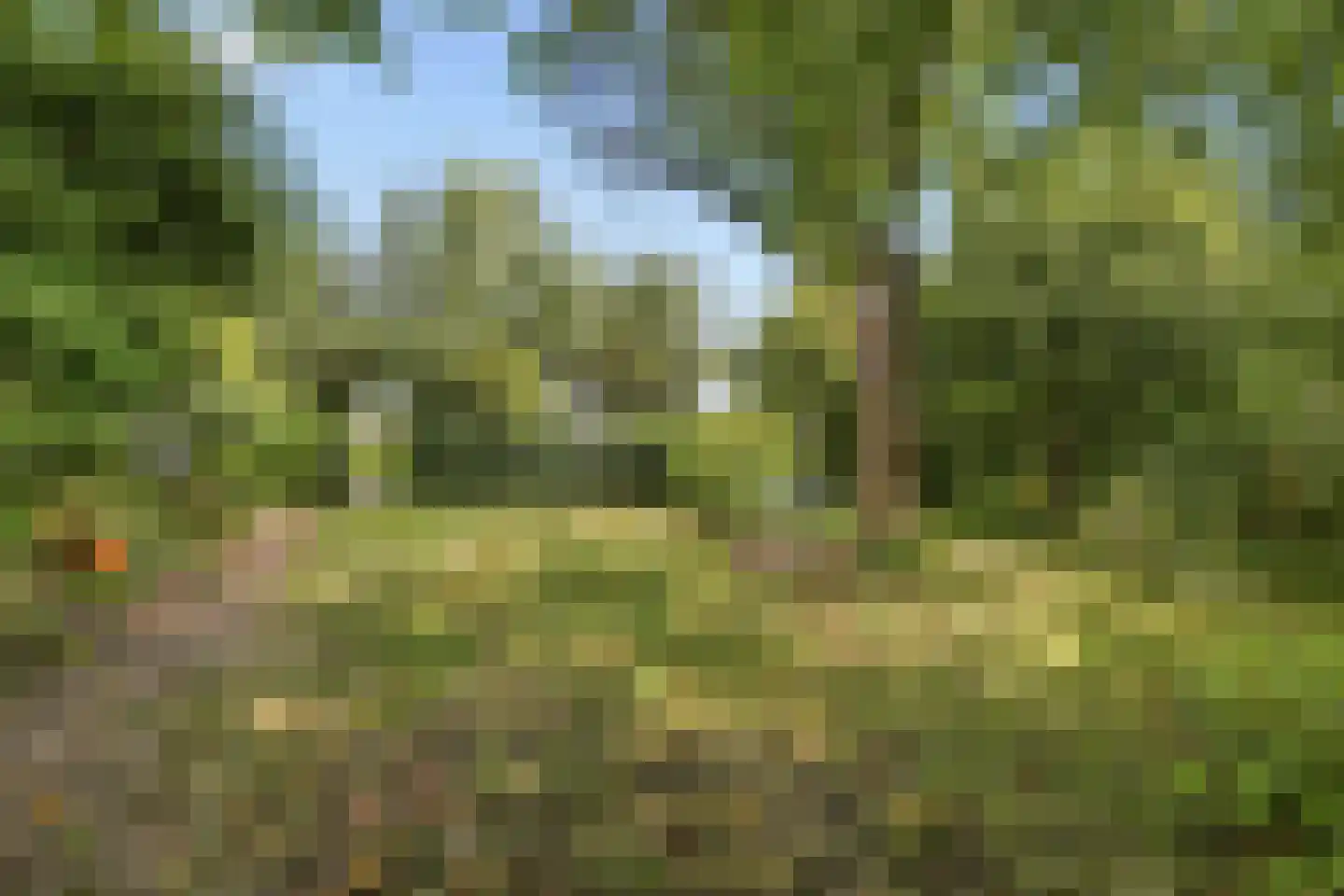 Nieuwe Vaartkade 1 Zaandijk thumbnail 29