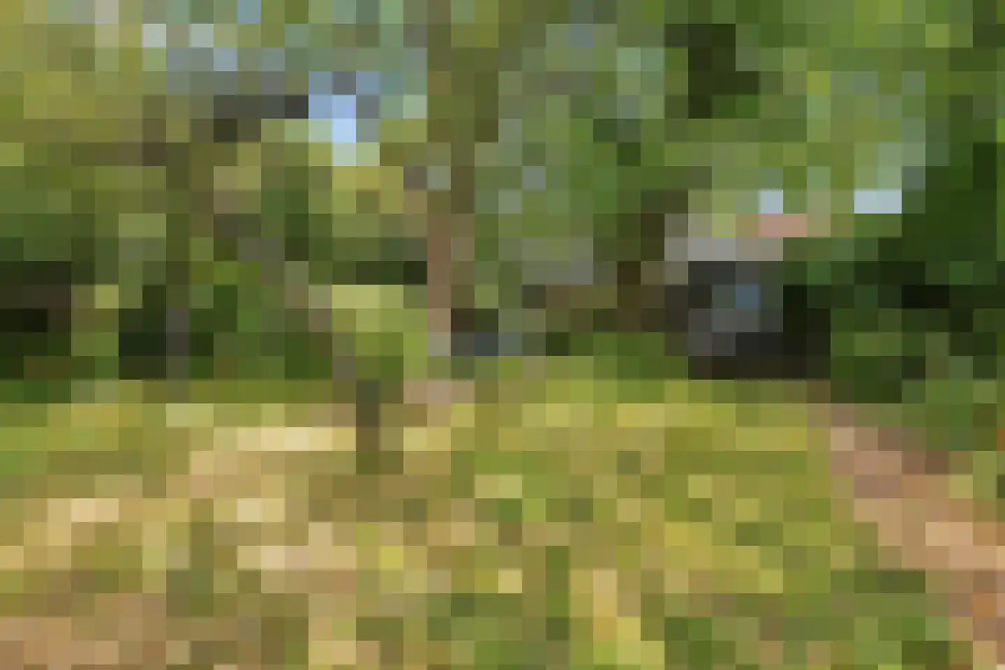 Nieuwe Vaartkade 1 Zaandijk thumbnail 30