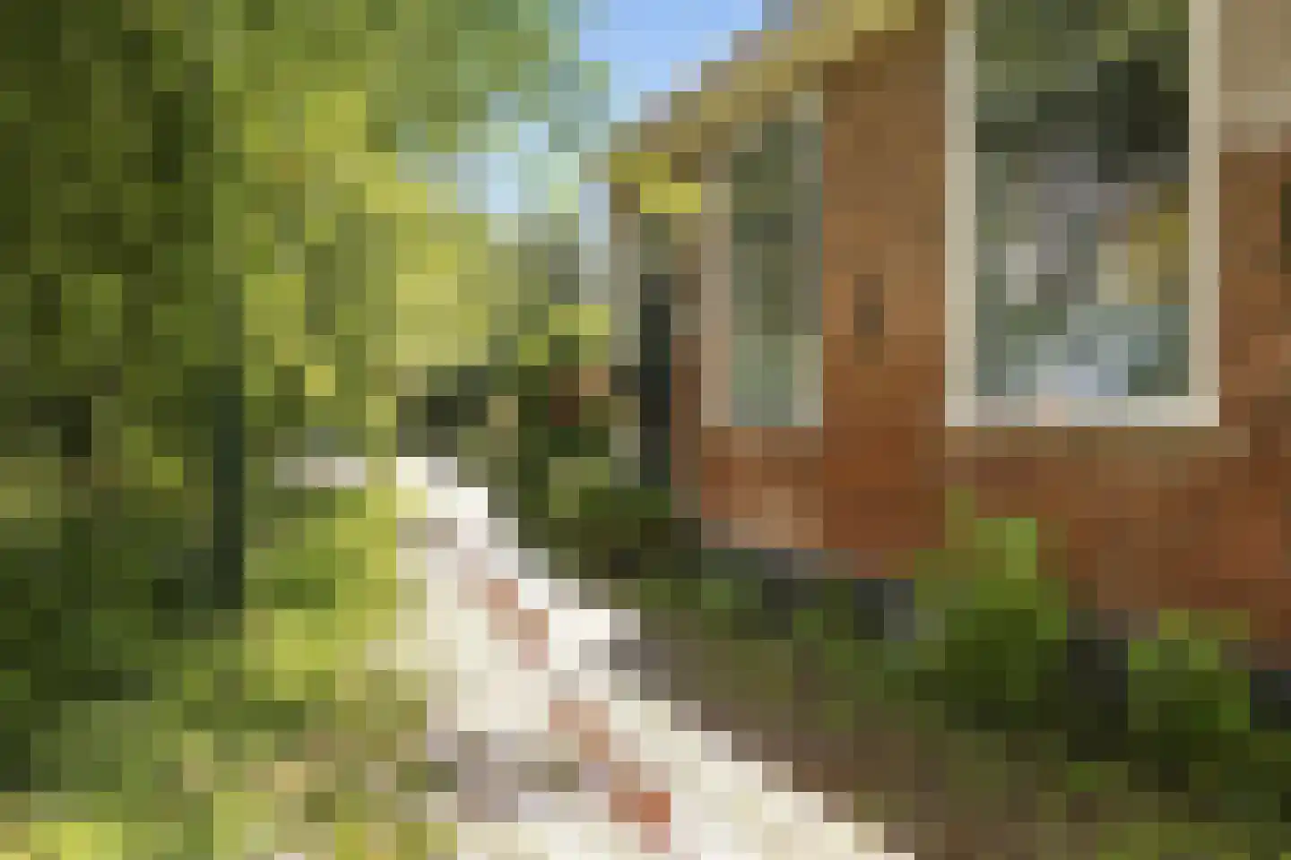 Nieuwe Vaartkade 1 Zaandijk thumbnail 31