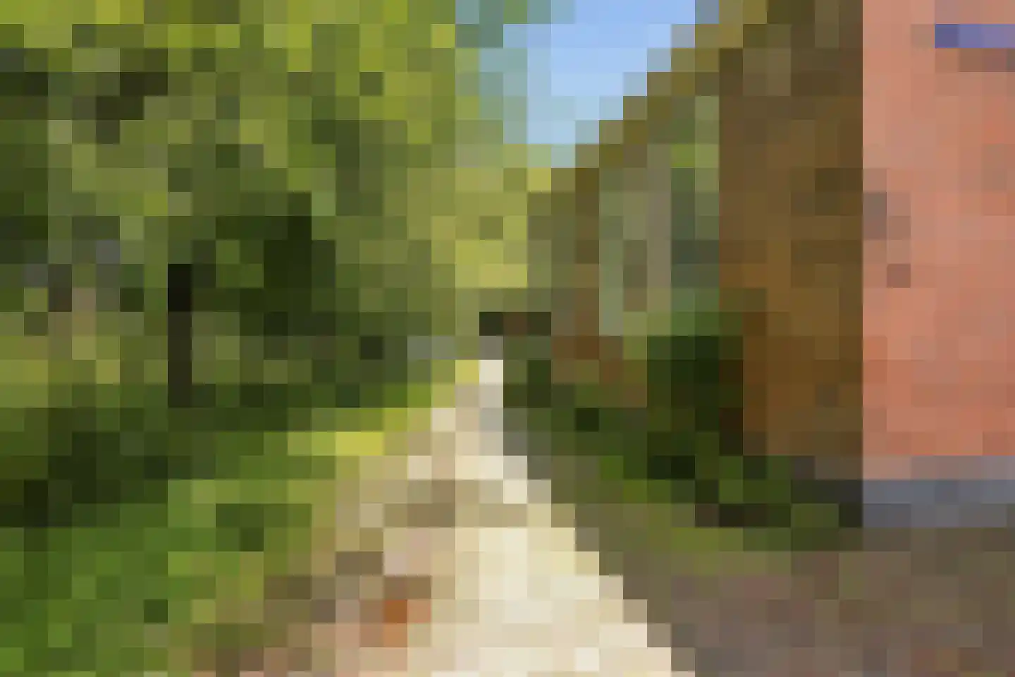 Nieuwe Vaartkade 1 Zaandijk thumbnail 32