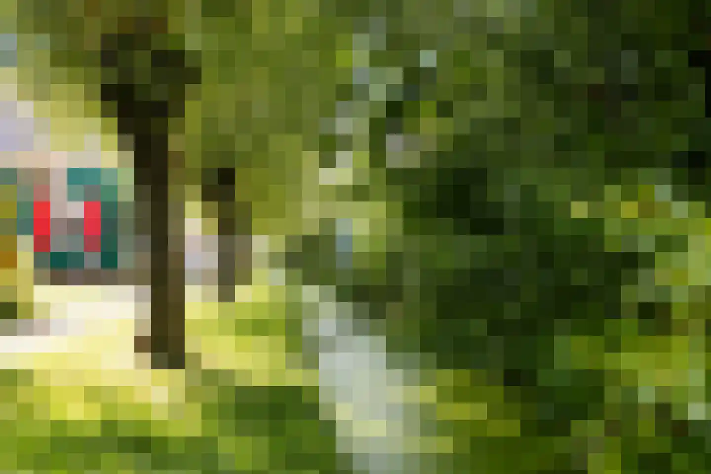 Nieuwe Vaartkade 1 Zaandijk thumbnail 34
