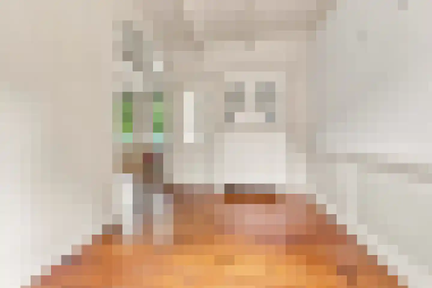 Nieuwe Vaartkade 1 Zaandijk thumbnail 8